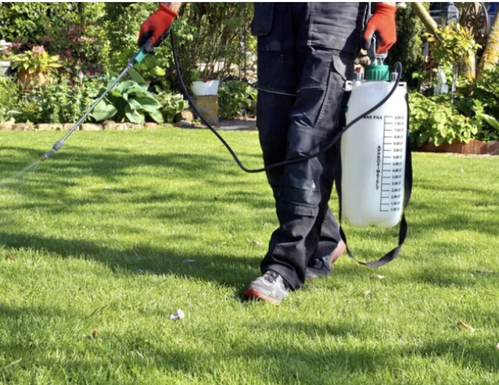 Affordable landscape design in Dunn, NC by Fosters Lawn Care