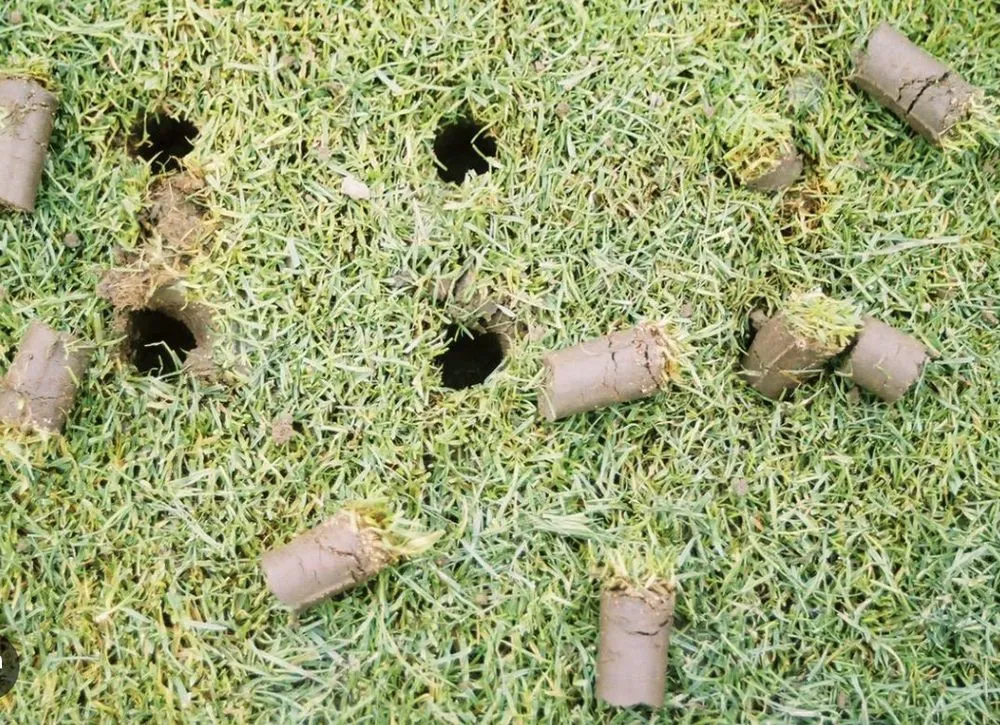 Custom garden landscaping in Dunn, NC by Fosters Lawn Care