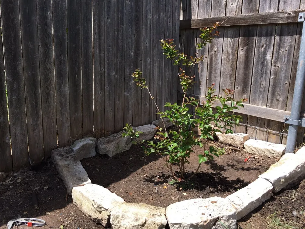 Trusted landscape installation for homes in Leander, TX by Fosters Lawn Care