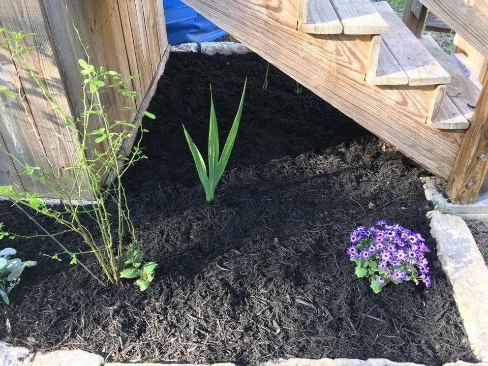 Top-rated yard maintenance in Leander, TX by Fosters Lawn Care