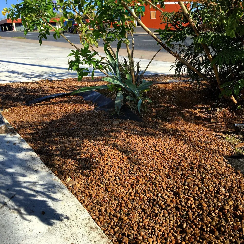 Top-rated yard cleanup service in Leander, TX by Fosters Lawn Care