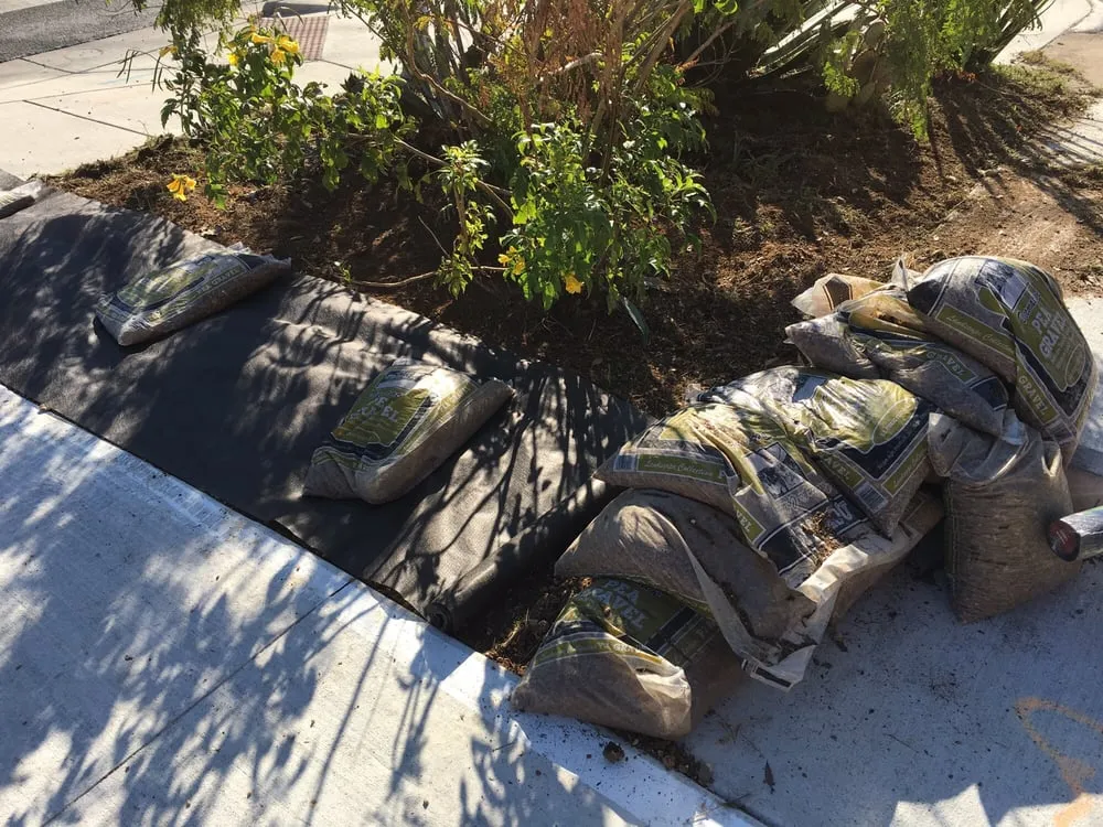 Top-rated garden landscaping experts serving Leander, TX - Fosters Lawn Care