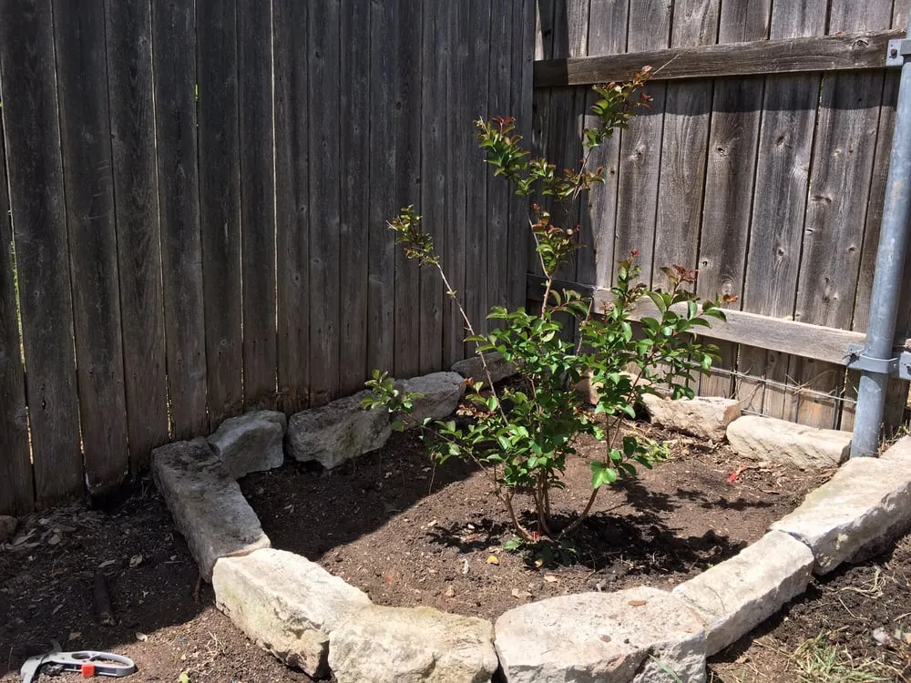 Local landscape installation in Leander, TX by Fosters Lawn Care