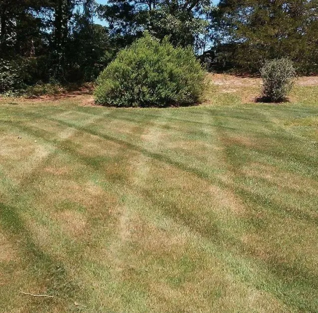 Reliable lawn mowing service for residential properties in Louisburg, NC by Foster’s Lawn Maintenance and Landscaping