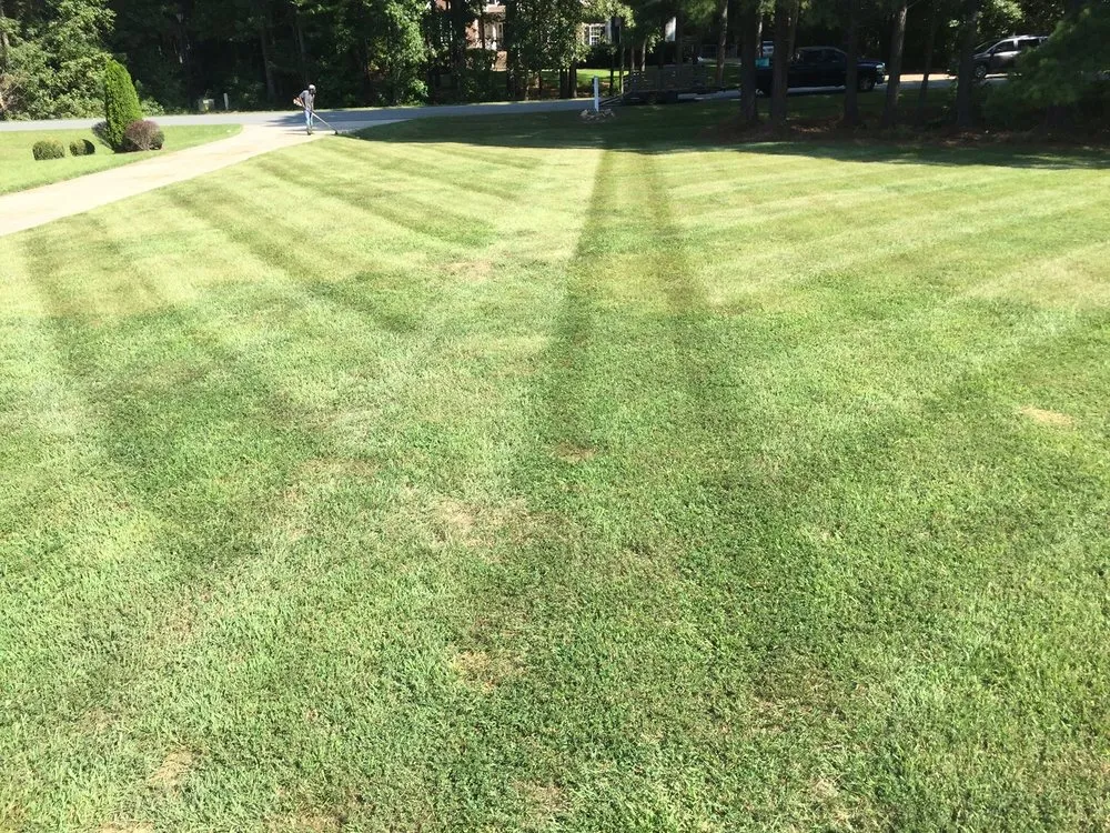 Trusted yard cleanup service for year-round maintenance in Louisburg, NC by Foster’s Lawn Maintenance and Landscaping
