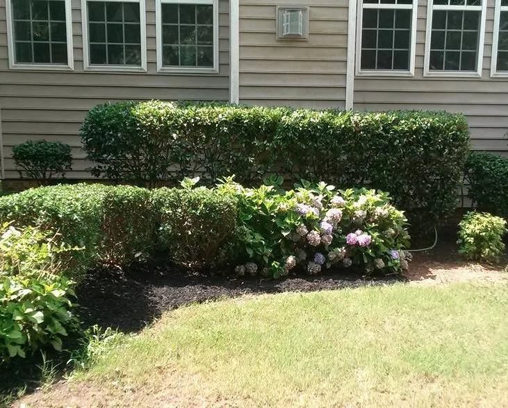 Custom outdoor landscaping in Louisburg, NC by Foster’s Lawn Maintenance and Landscaping