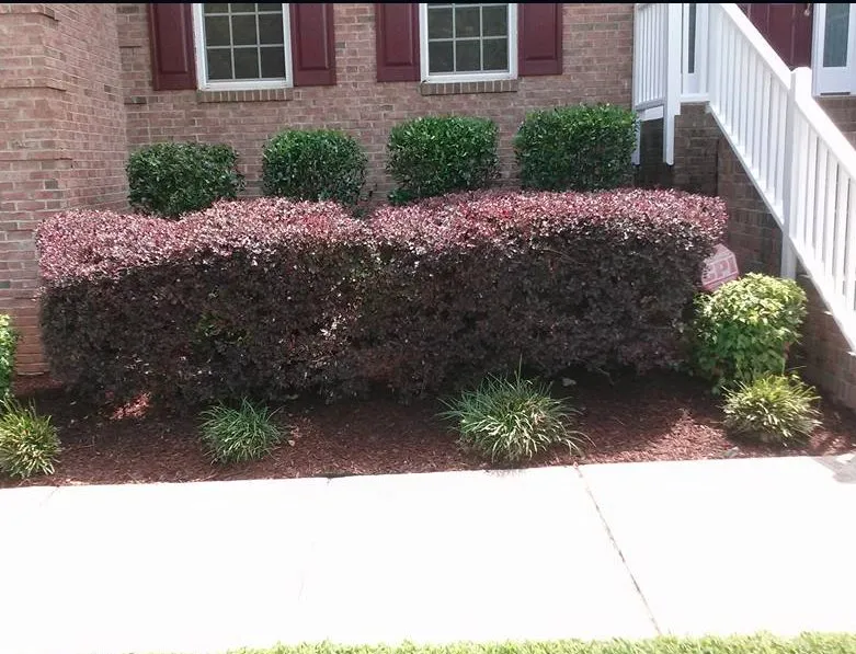 Custom landscaping services experts serving Louisburg, NC - Foster’s Lawn Maintenance and Landscaping