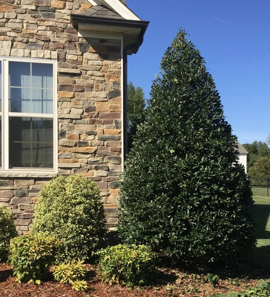 Local lawn care service experts serving Louisburg, NC - Foster’s Lawn Maintenance and Landscaping