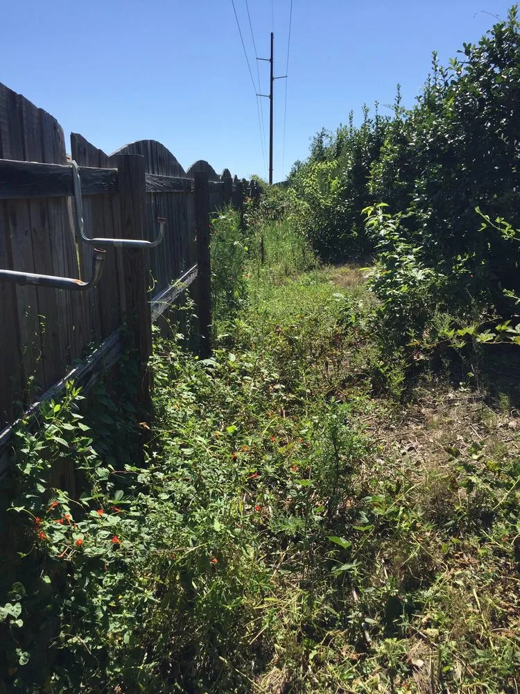 Expert yard maintenance in Louisburg, NC by Foster’s Lawn Maintenance and Landscaping