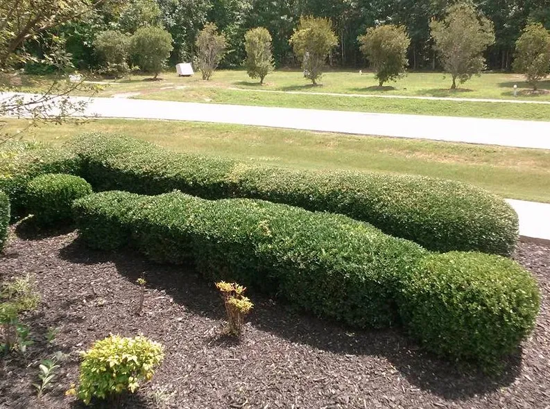 Reliable landscape installation for homes in Louisburg, NC by Foster’s Lawn Maintenance and Landscaping