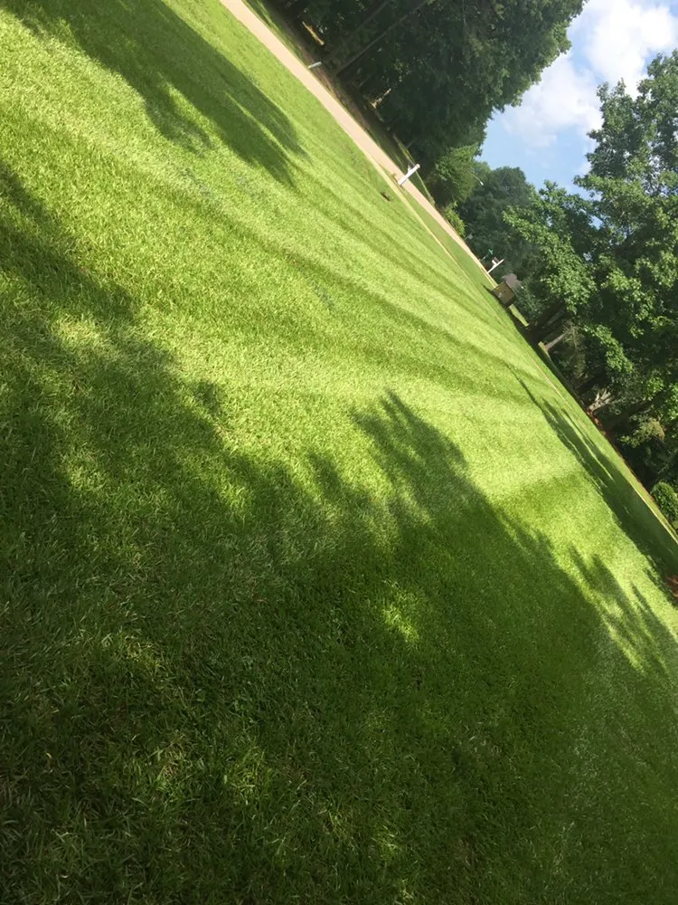 Expert outdoor landscaping for residential properties in Louisburg, NC by Foster’s Lawn Maintenance and Landscaping