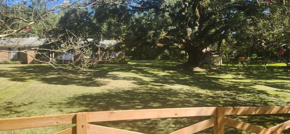 Affordable yard cleanup service in Mobile, AL by Foster's Lawncare