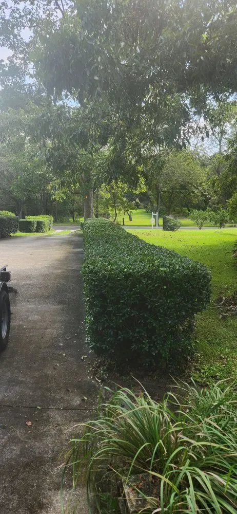 Top-rated yard cleanup service in Mobile, AL by Foster's Lawncare