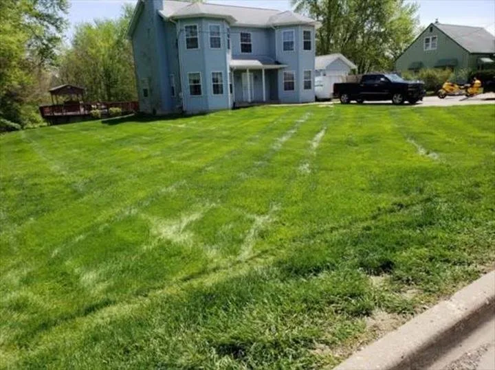 Professional yard cleanup service in Peoria, IL by Foster's Pro-Lawn & Snow Removal