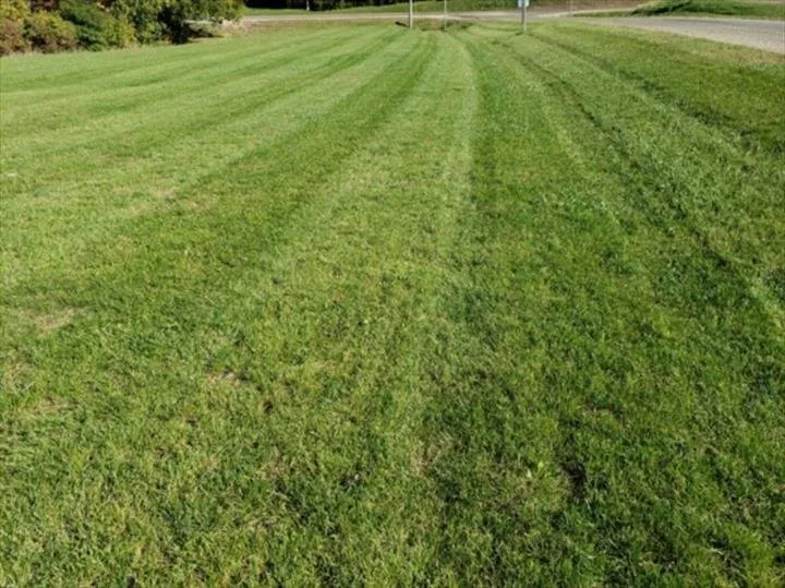 Top-rated outdoor landscaping experts serving Peoria, IL - Foster's Pro-Lawn & Snow Removal