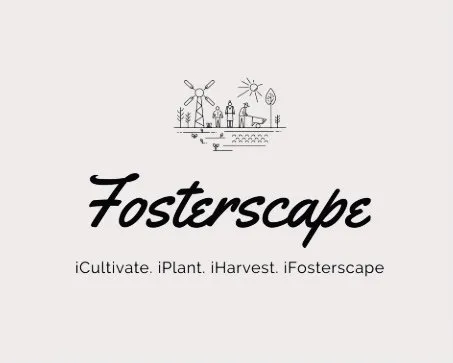 Professional garden landscaping experts serving Fayetteville, NC - Fosterscape