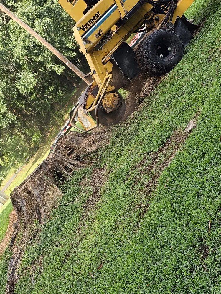 Professional residential landscaping experts serving Resaca, GA - Foubert's Landscaping