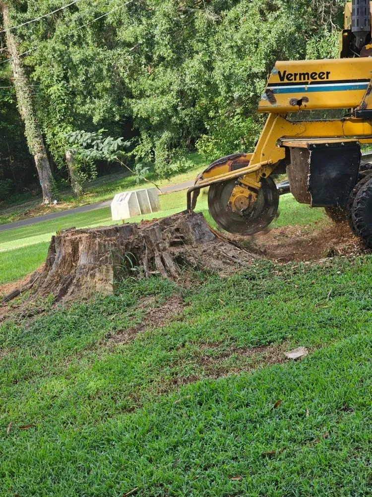 Expert outdoor landscaping in Resaca, GA by Foubert's Landscaping