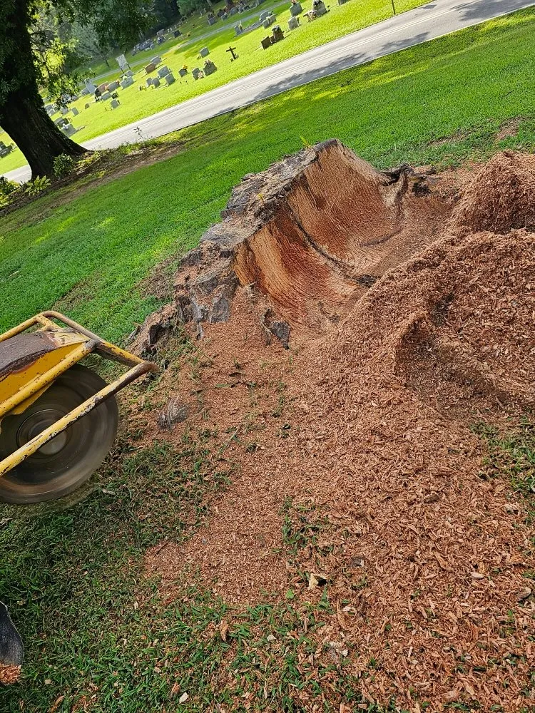 Expert outdoor landscaping in Resaca, GA by Foubert's Landscaping