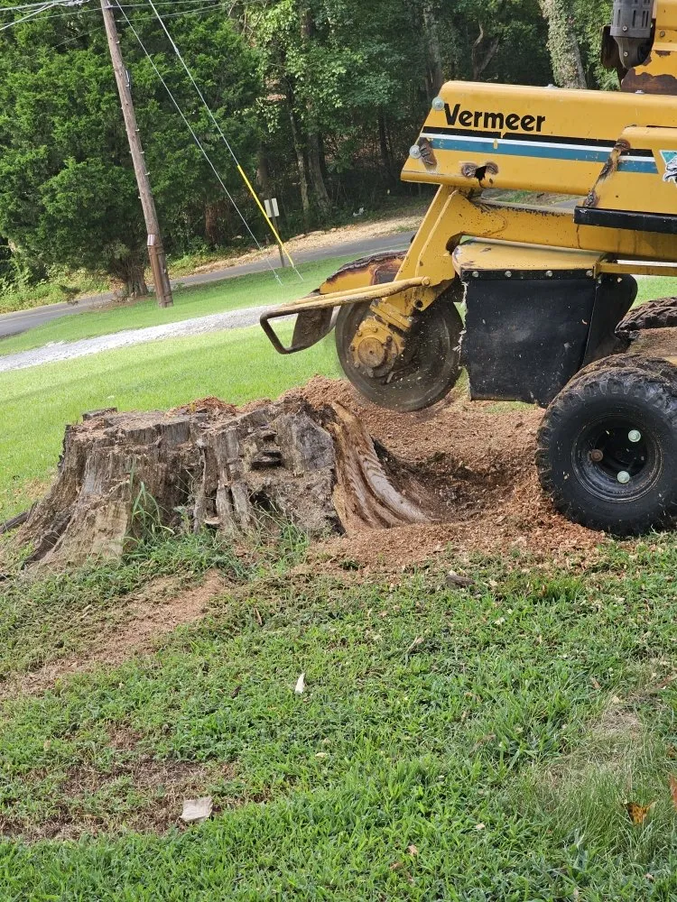 Affordable landscape design for beautiful yards across Resaca, GA - Foubert's Landscaping