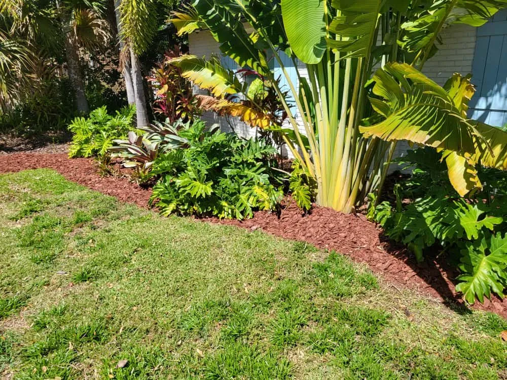 Custom landscape design experts serving Ormond Beach, FL - Founders Lawn Care