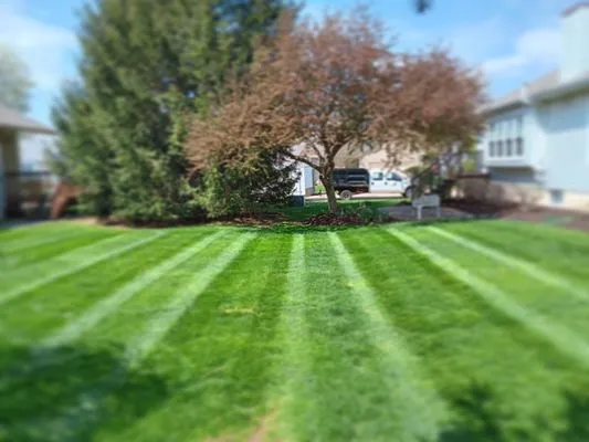 Four Bridge Lawn Care & Landscape Logo