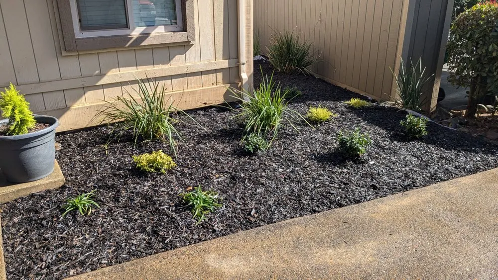 Reliable landscape installation in Sacramento, CA - Four Brothers Landscaping And Concrete