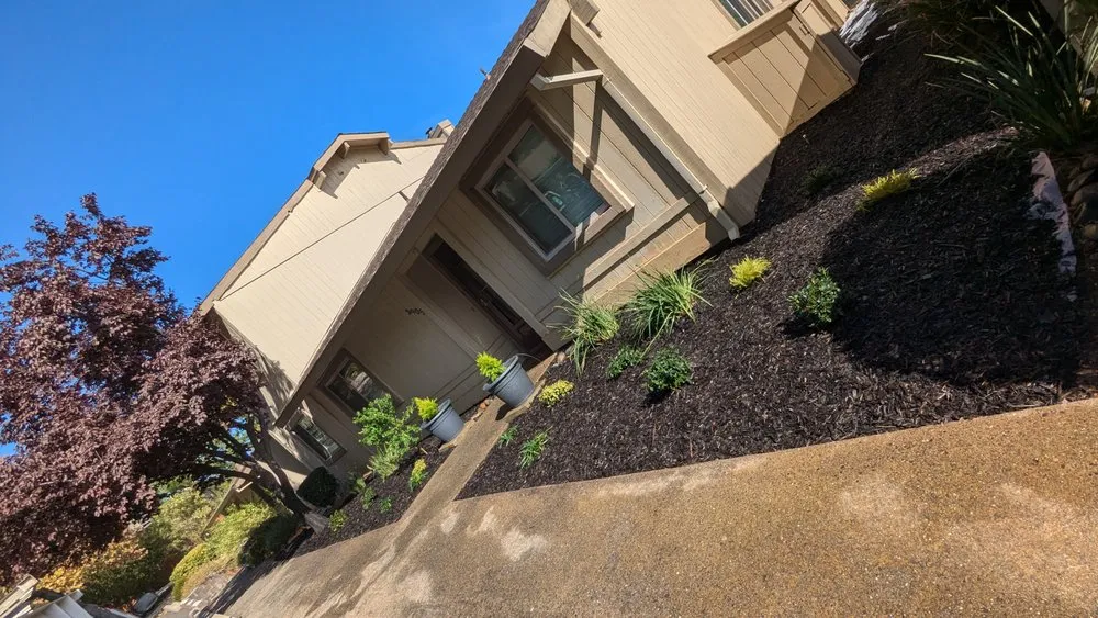 Affordable landscaping services for beautiful yards in Sacramento, CA by Four Brothers Landscaping And Concrete