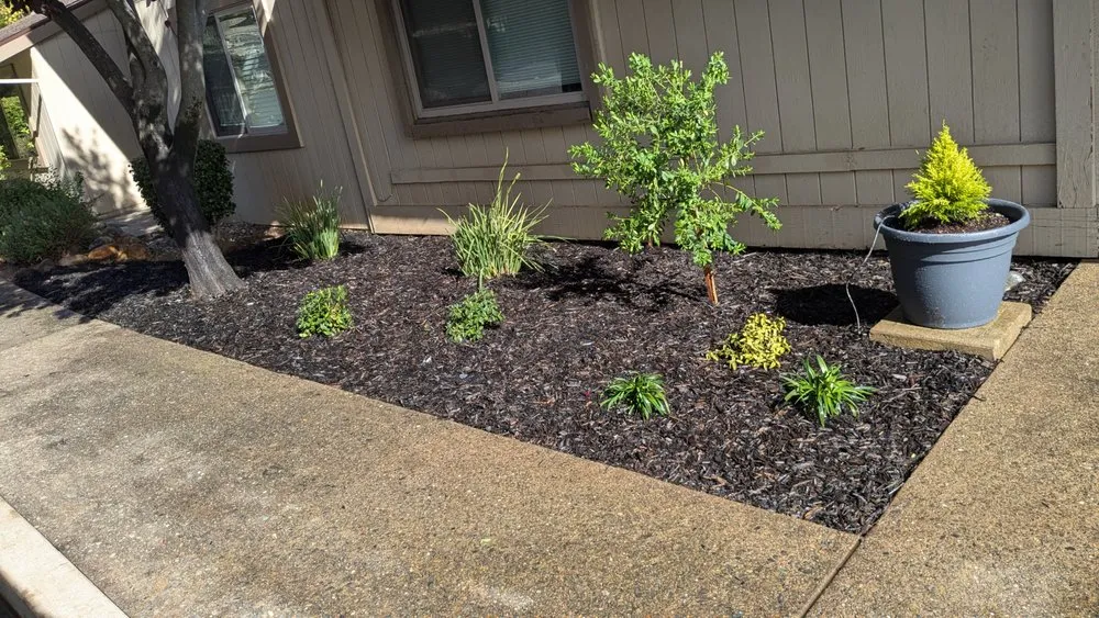 Reliable landscape design for beautiful yards across Sacramento, CA - Four Brothers Landscaping And Concrete