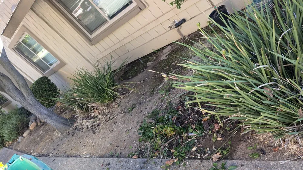 Affordable residential landscaping for beautiful yards in Sacramento, CA by Four Brothers Landscaping And Concrete