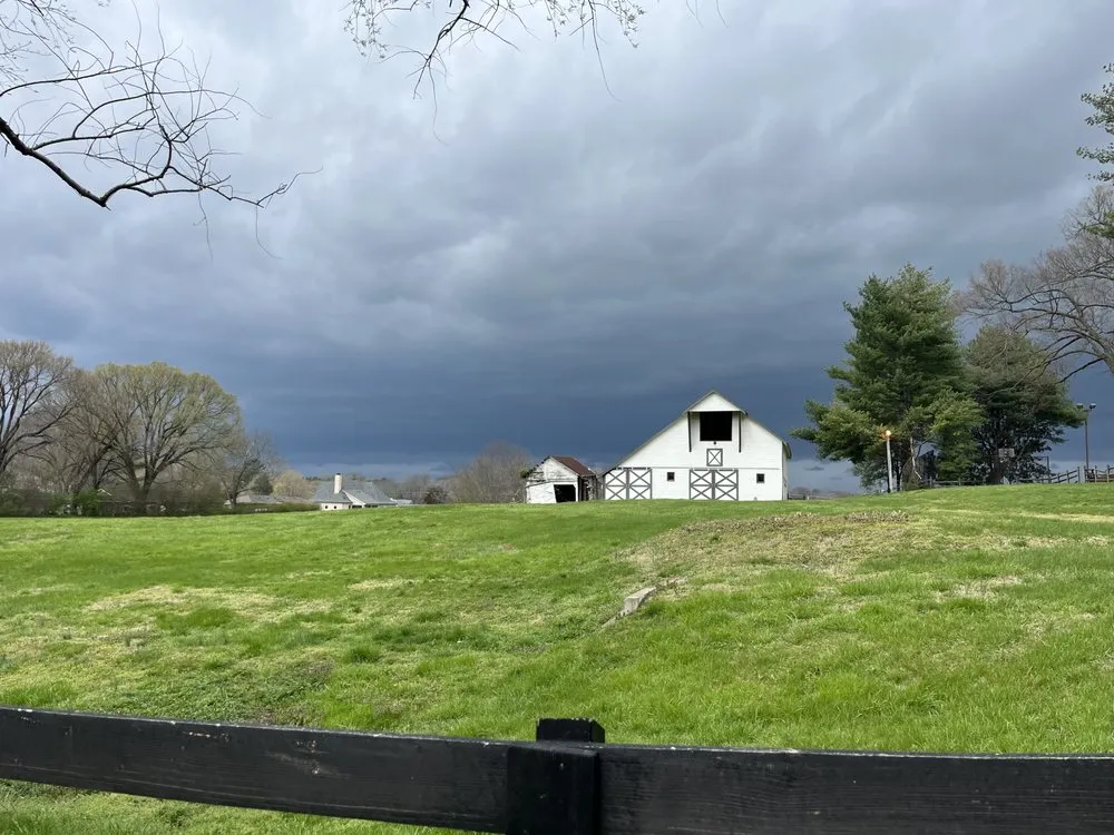 Professional lawn care service for homes across Nashville, TN - Four Brothers Lawn and Landscaping