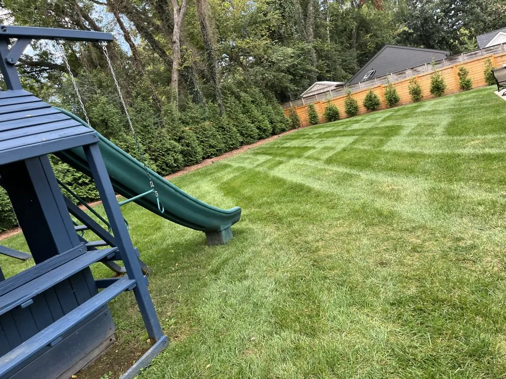 Trusted yard cleanup service in Nashville, TN by Four Brothers Lawn and Landscaping