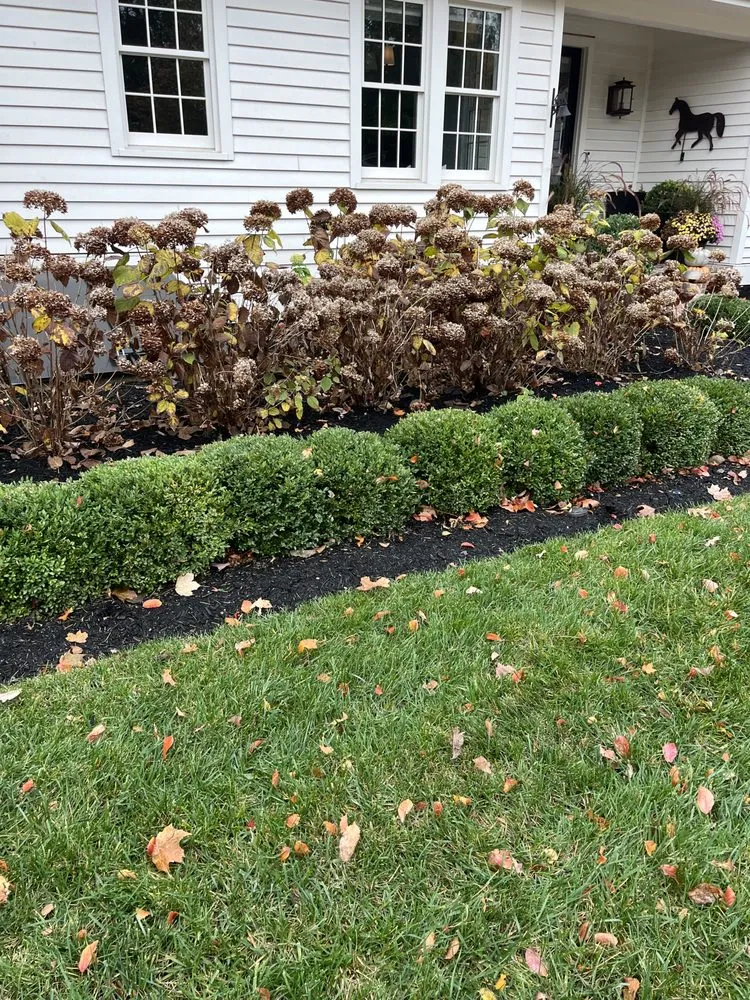 Professional lawn mowing service in Nashville, TN by Four Brothers Lawn and Landscaping