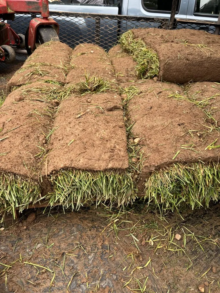 Expert yard cleanup service near you across Nashville, TN - Four Brothers Lawn and Landscaping