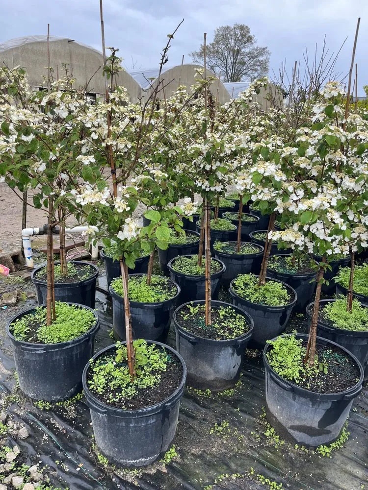 Affordable garden landscaping in Nashville, TN by Four Brothers Lawn and Landscaping