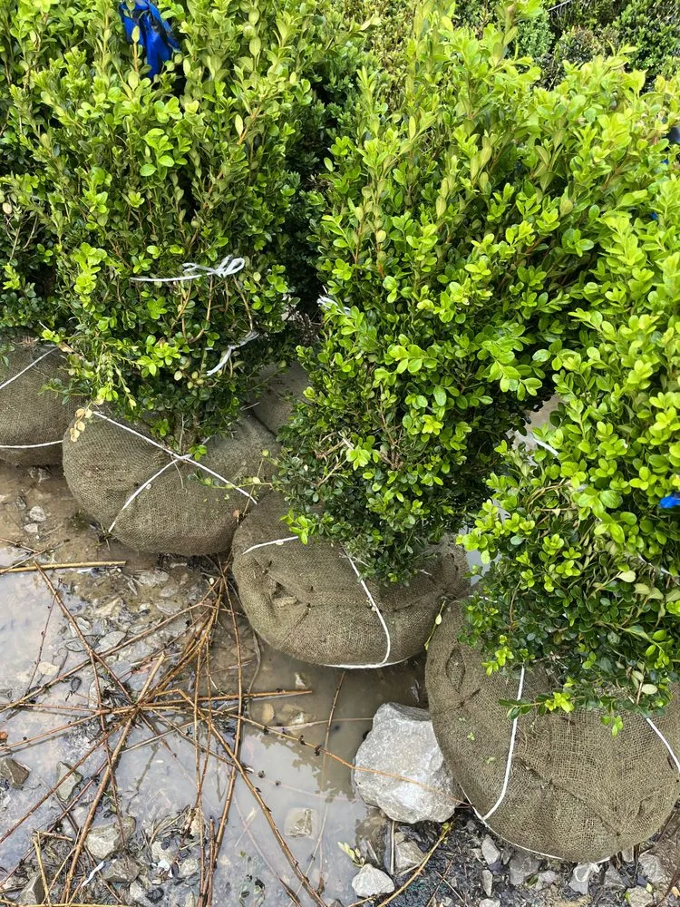 Affordable outdoor landscaping in Nashville, TN - Four Brothers Lawn and Landscaping