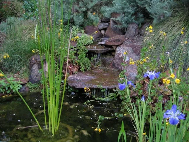 Professional garden landscaping experts serving Oakland, CA - Four Dimensions Landscape