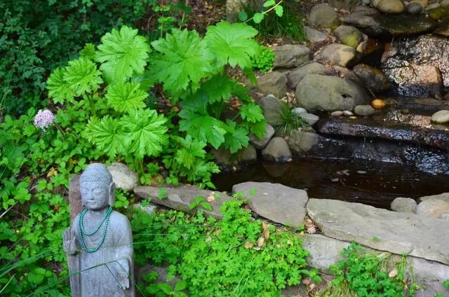 Custom lawn care service experts serving Oakland, CA - Four Dimensions Landscape