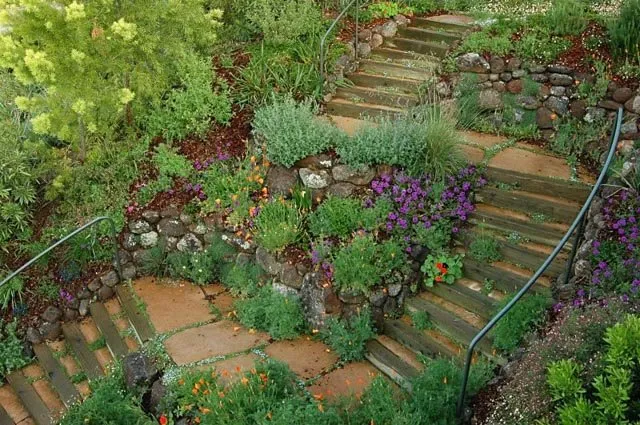 Expert outdoor landscaping in Oakland, CA by Four Dimensions Landscape
