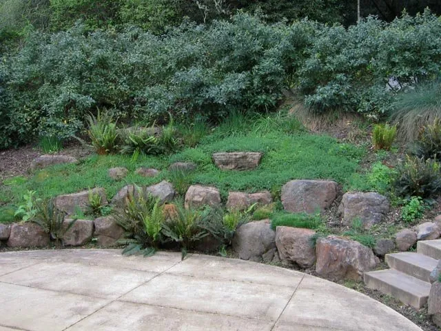 Local yard maintenance experts serving Oakland, CA - Four Dimensions Landscape