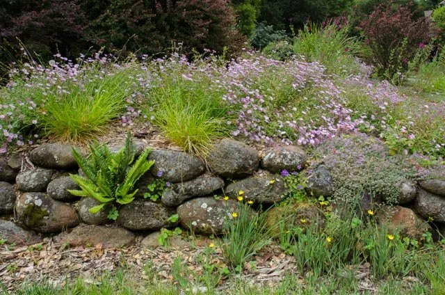 Local landscaping services in Oakland, CA - Four Dimensions Landscape