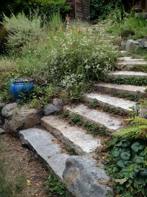 Affordable landscaping services for outdoor upgrades in Oakland, CA by Four Dimensions Landscape