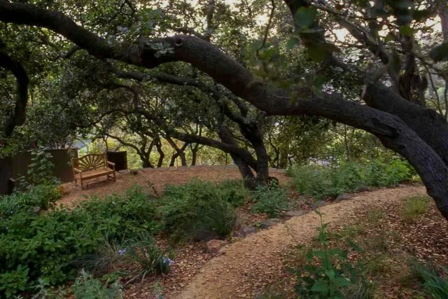 Expert landscaping services for outdoor upgrades in Oakland, CA by Four Dimensions Landscape