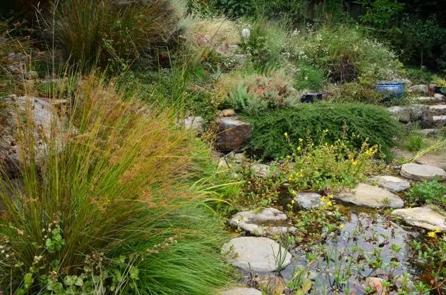 Affordable landscaping services for outdoor upgrades in Oakland, CA by Four Dimensions Landscape