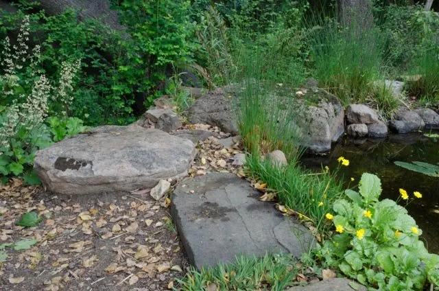 Expert yard maintenance in Oakland, CA - Four Dimensions Landscape