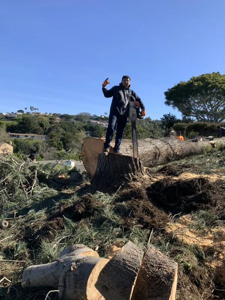 Professional garden landscaping in National City, CA - Four Guys Landscaping