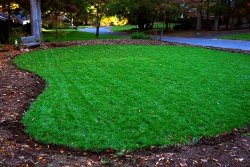 Four Horsemen Lawn & Landscaping Logo