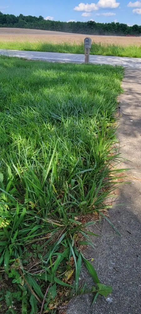 Professional garden landscaping experts serving Hardinsburg, IN - Four J Lawn Care