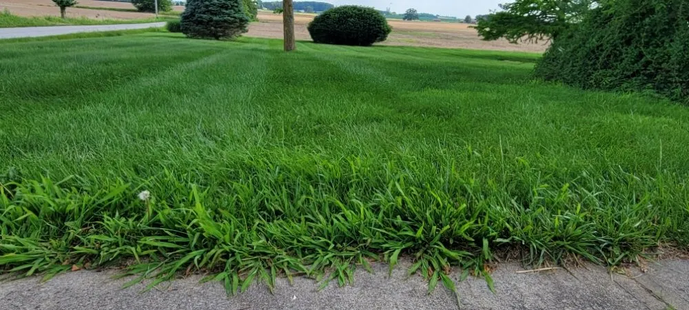 Custom yard maintenance in Hardinsburg, IN - Four J Lawn Care