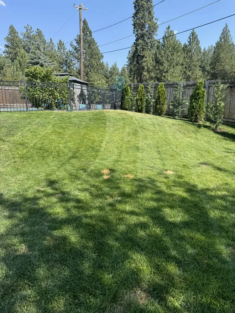 Professional yard maintenance in Spokane Valley, WA - Four Lakes Landscape